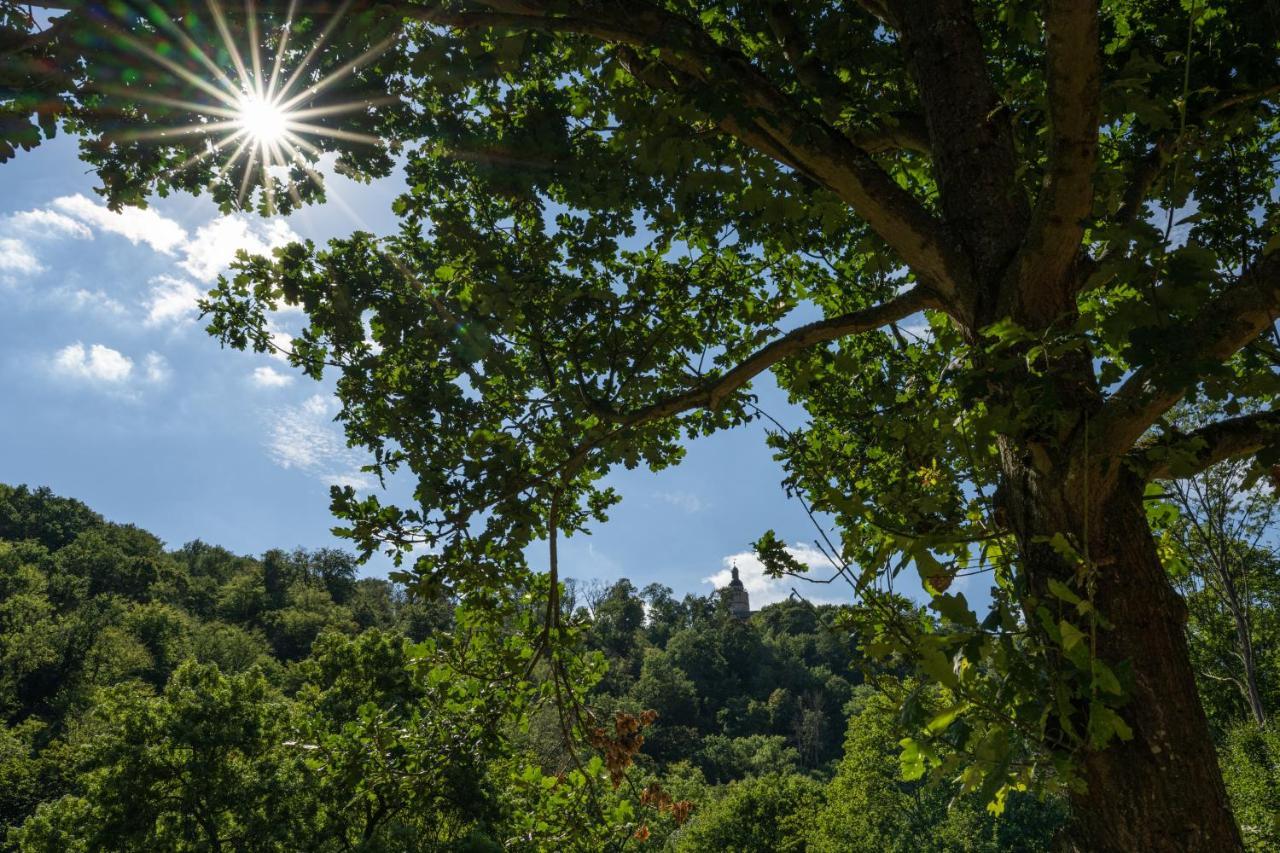 Thalmuehle Aparthotel Meisdorf Buitenkant foto